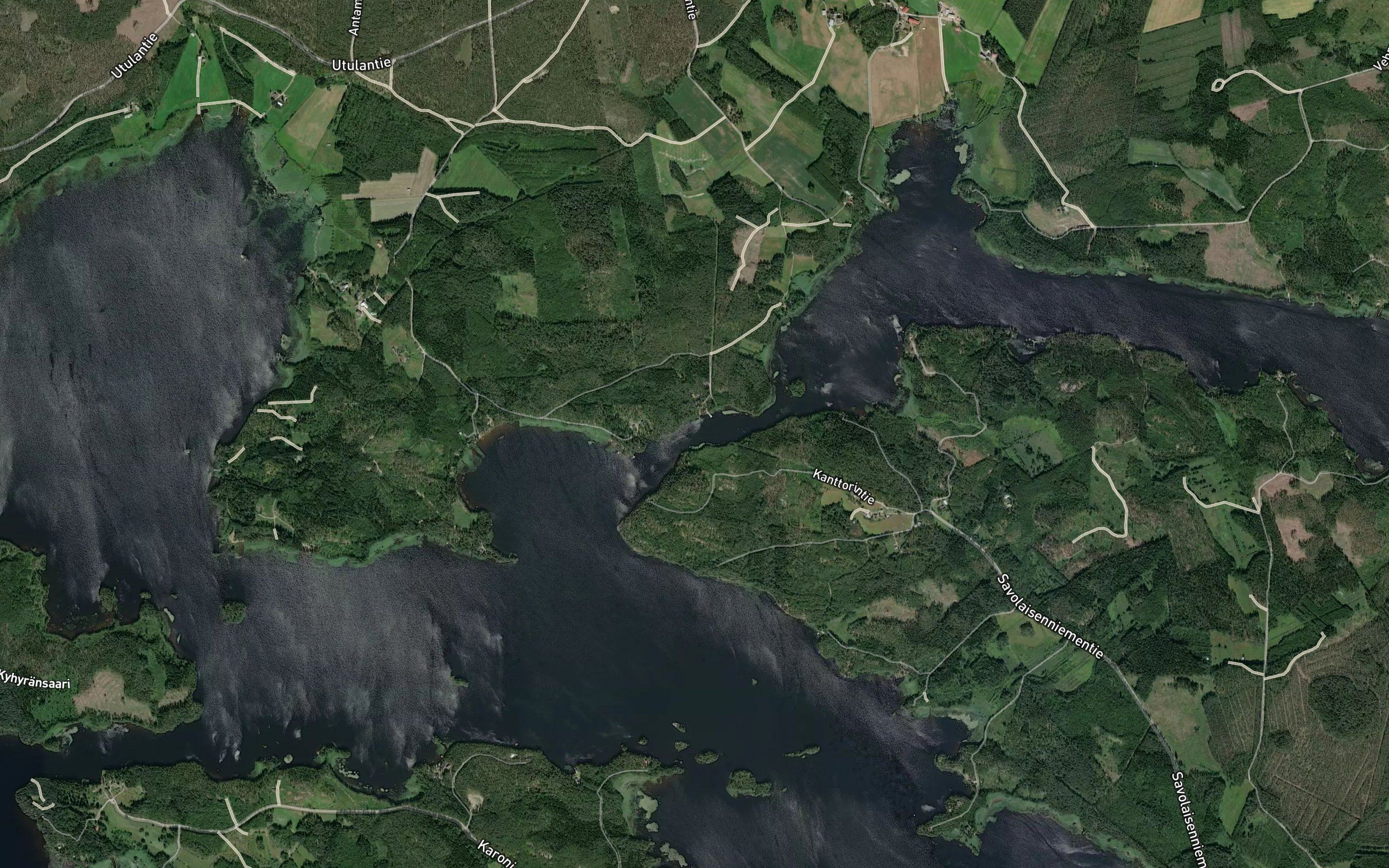 Kurenvirta