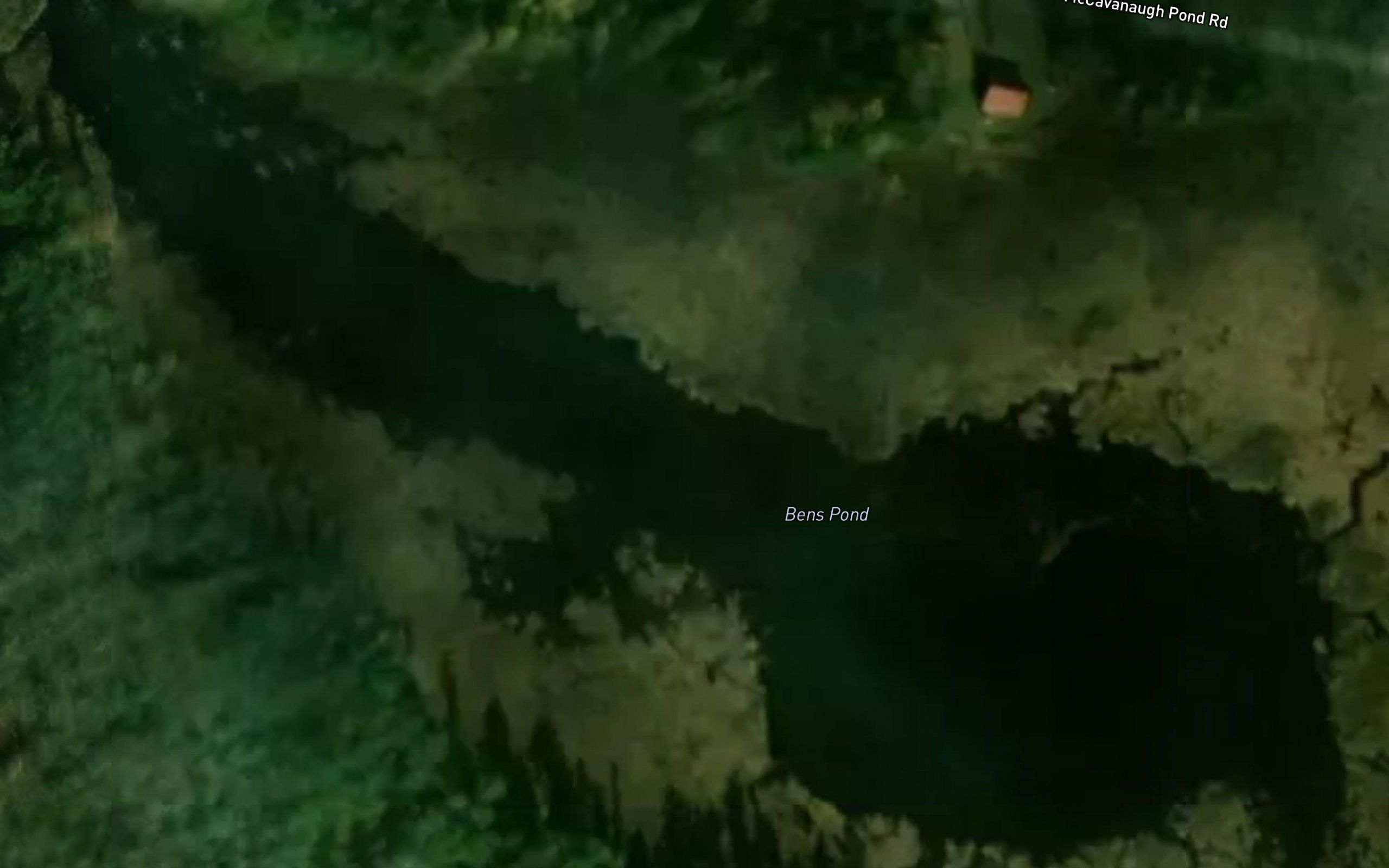 Bens Pond