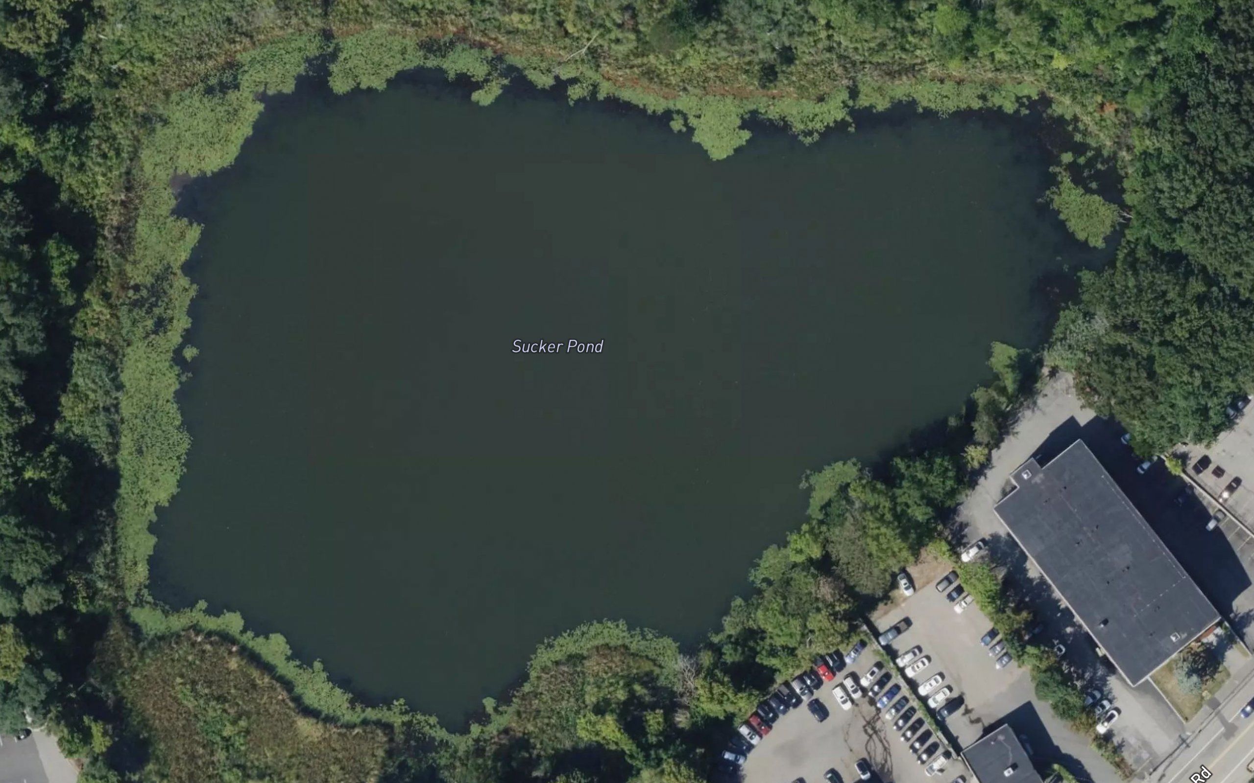 Sucker Pond