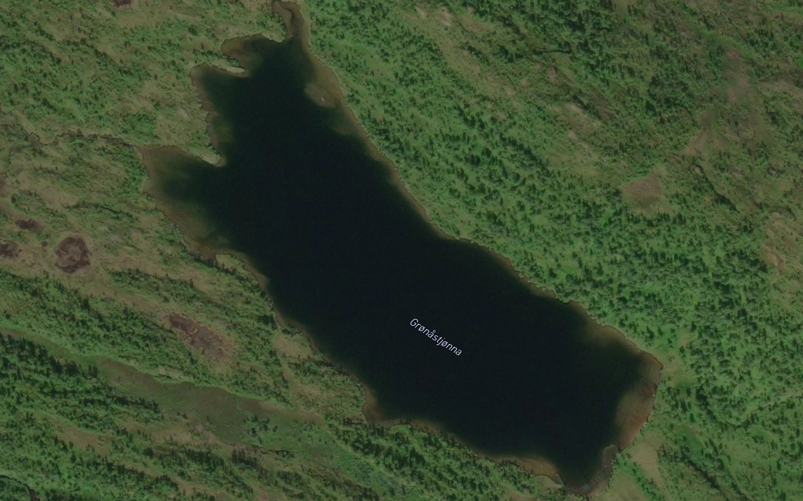 Gronastjonna