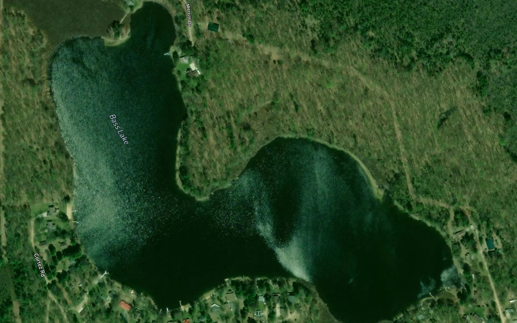 Satellite map of the Bass Lake