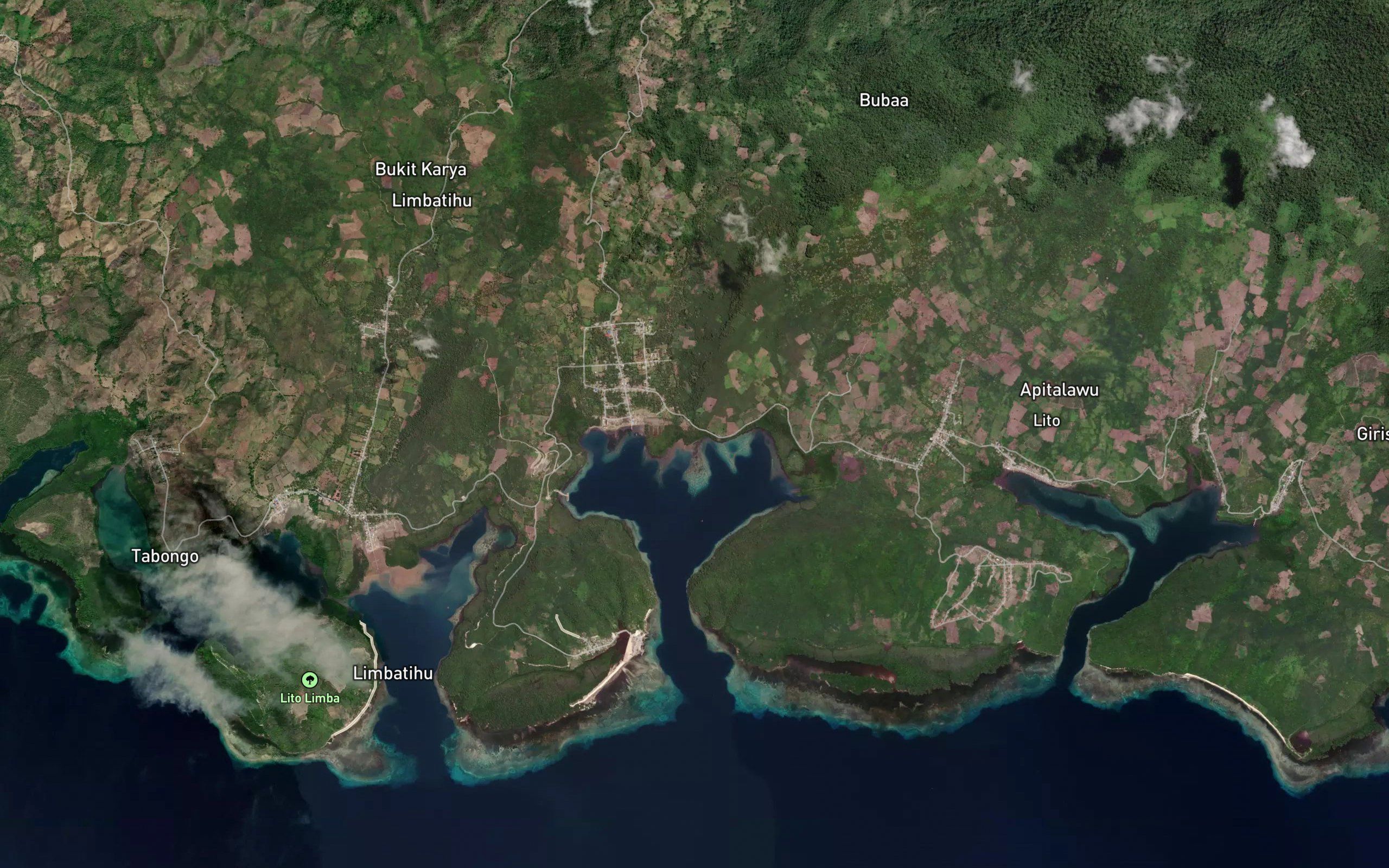 Dutula Bubaa