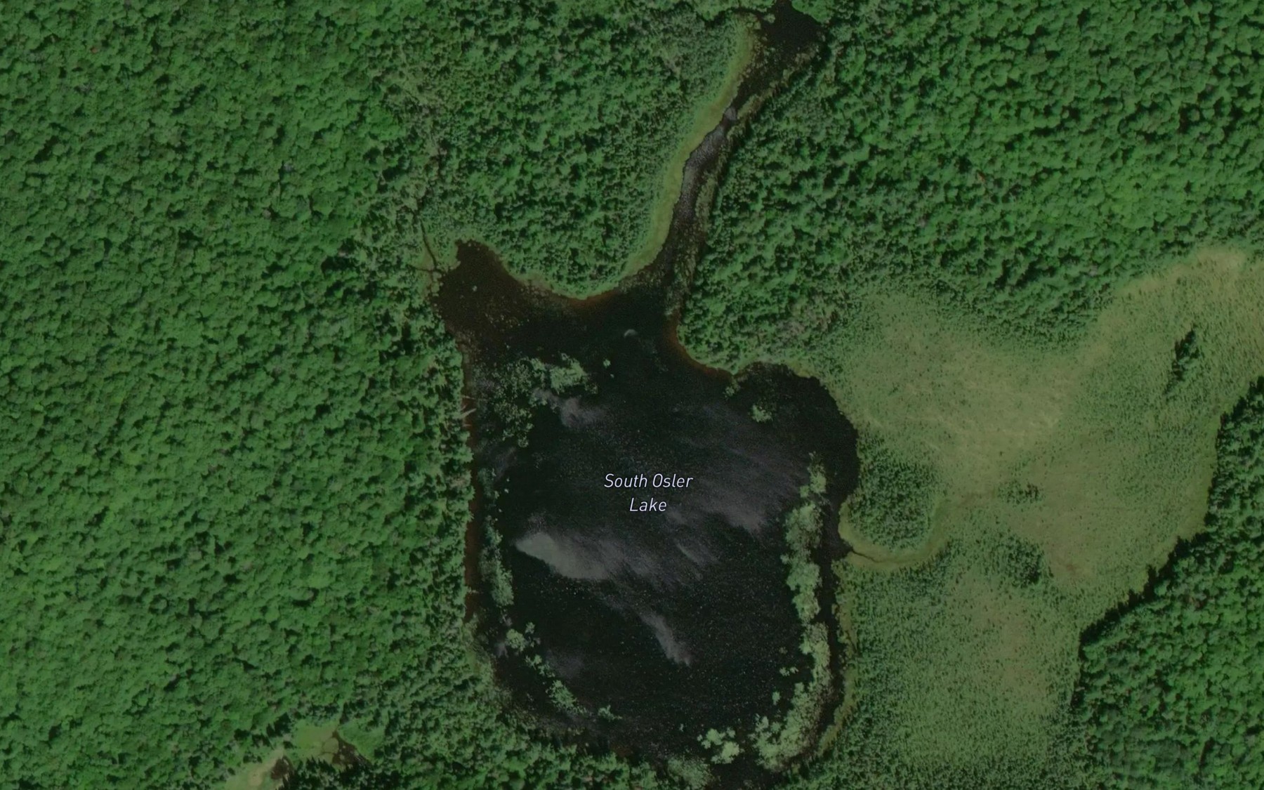 Satellite map of the South Osler Lake