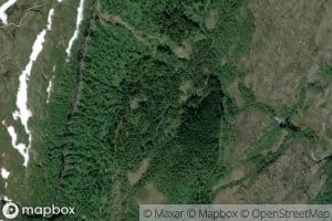 Glomselva