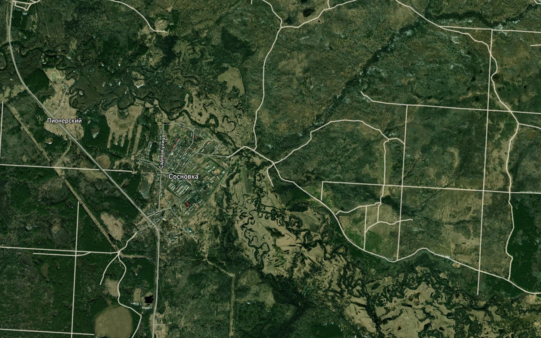 Satellite map of the Bol'shoy Shkimley