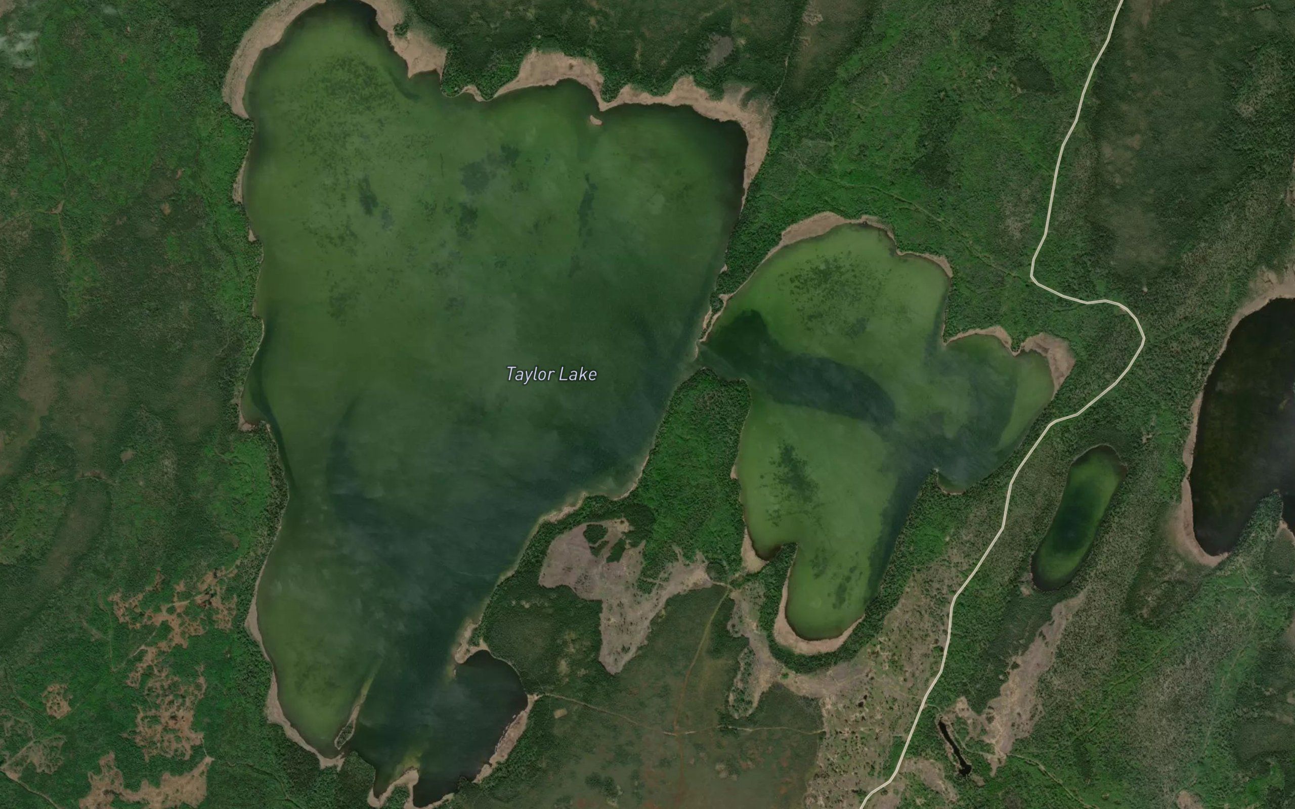Taylor Lake