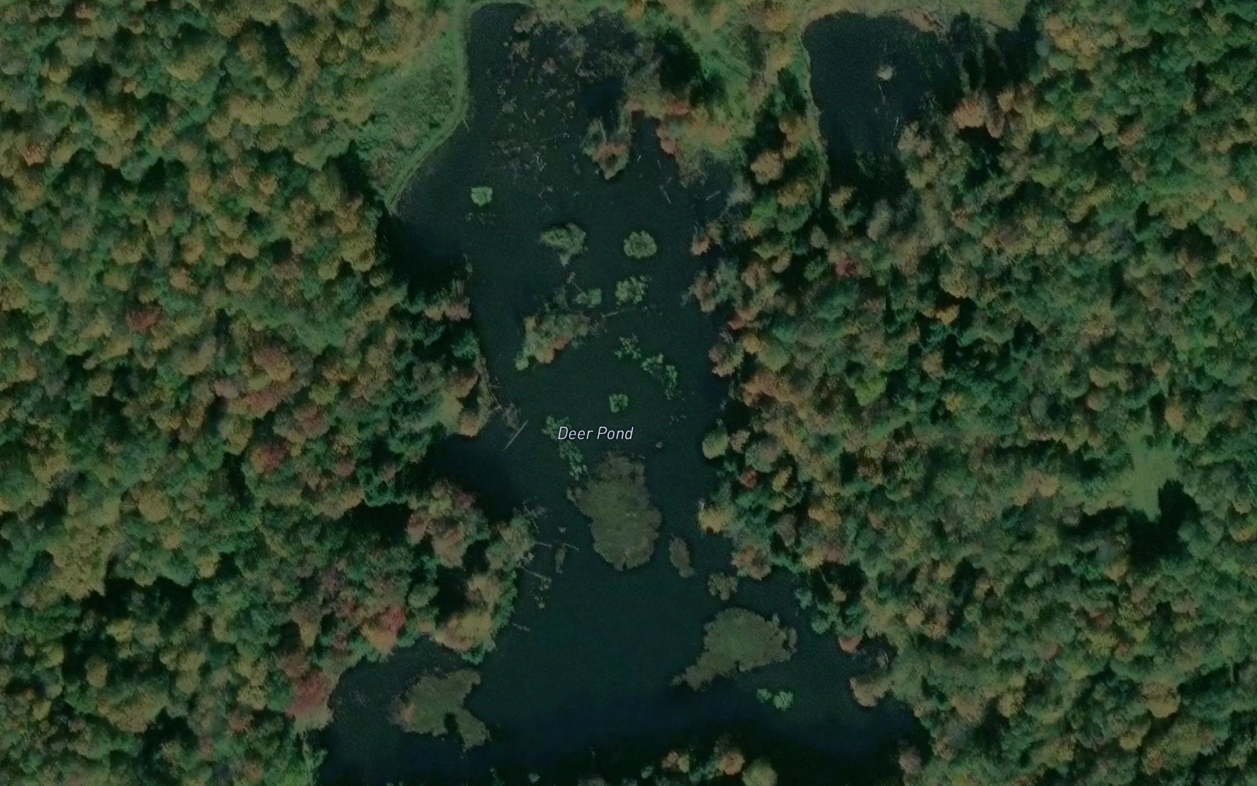Deer Pond
