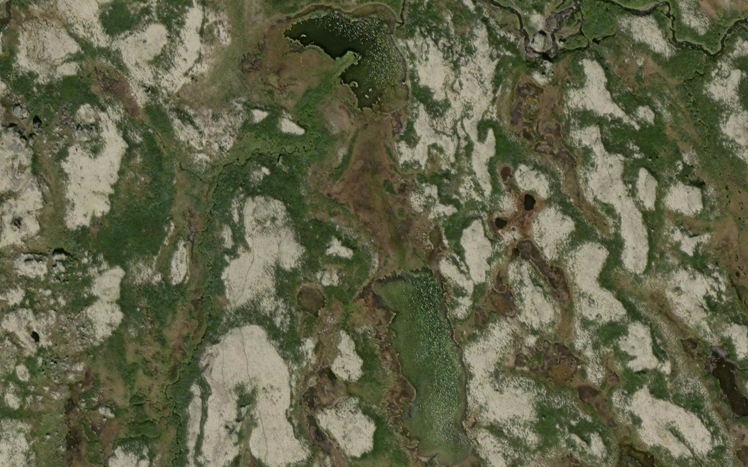 Elsatjorna,l