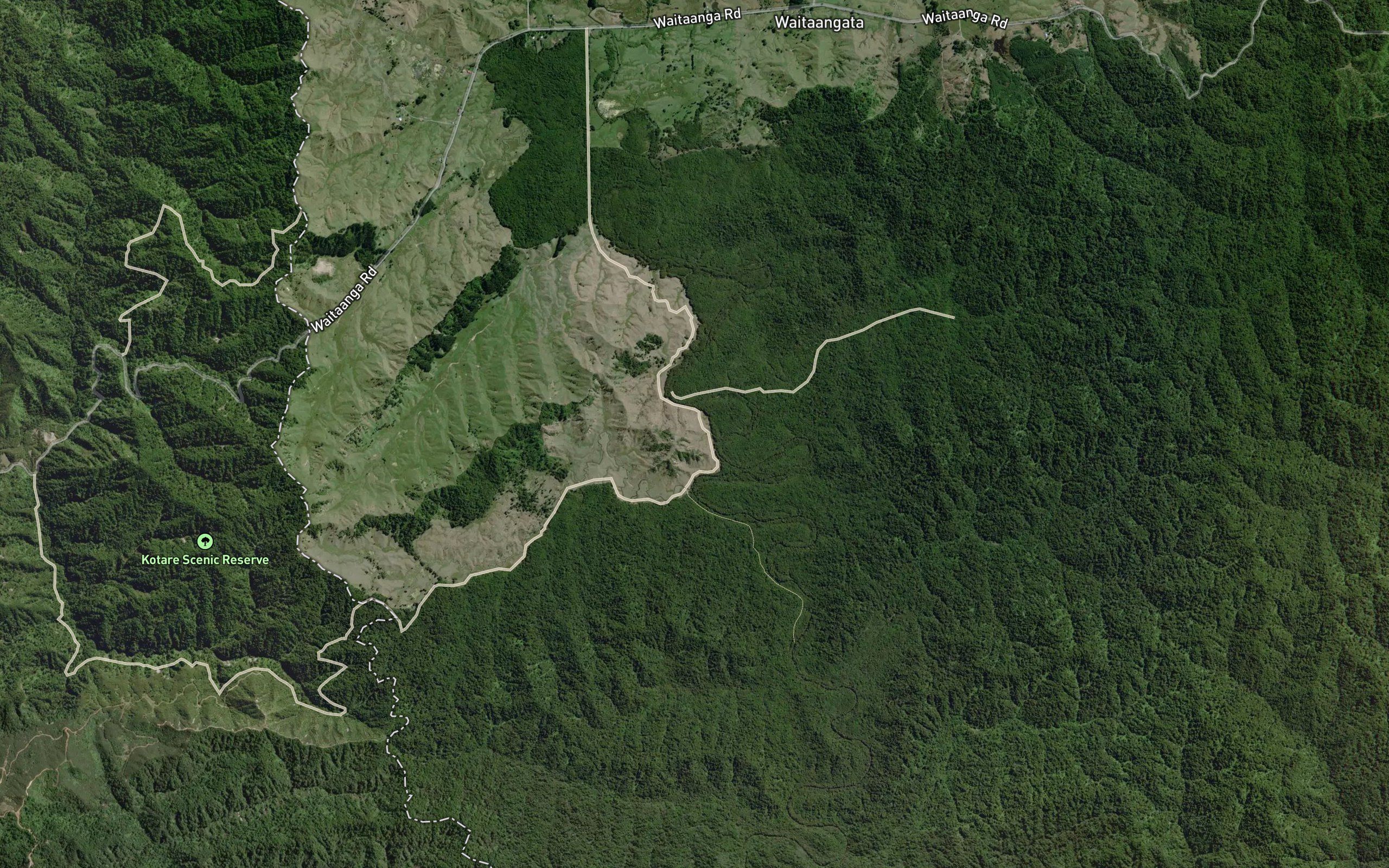 Waitaanga Stream