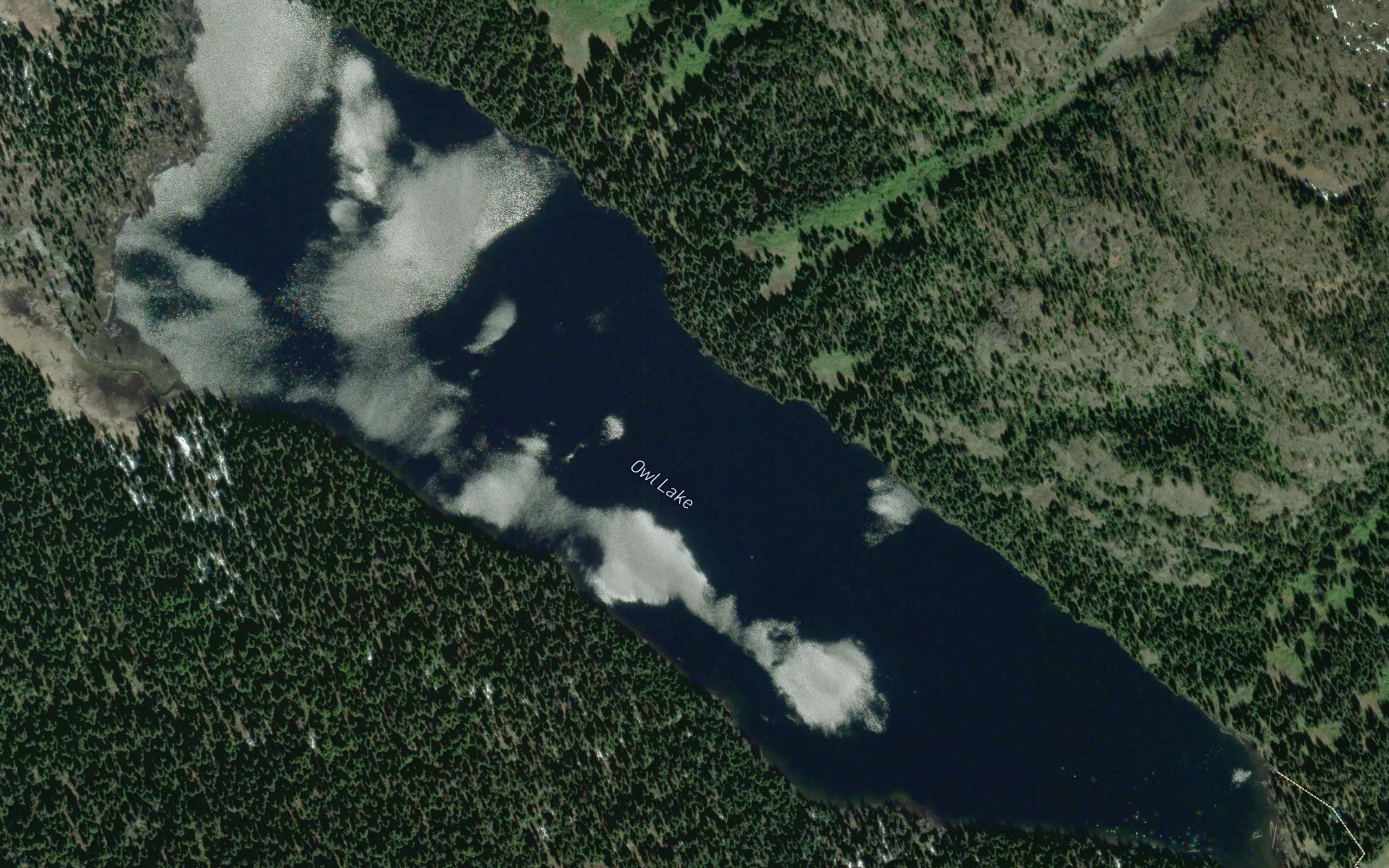 Owl Lake
