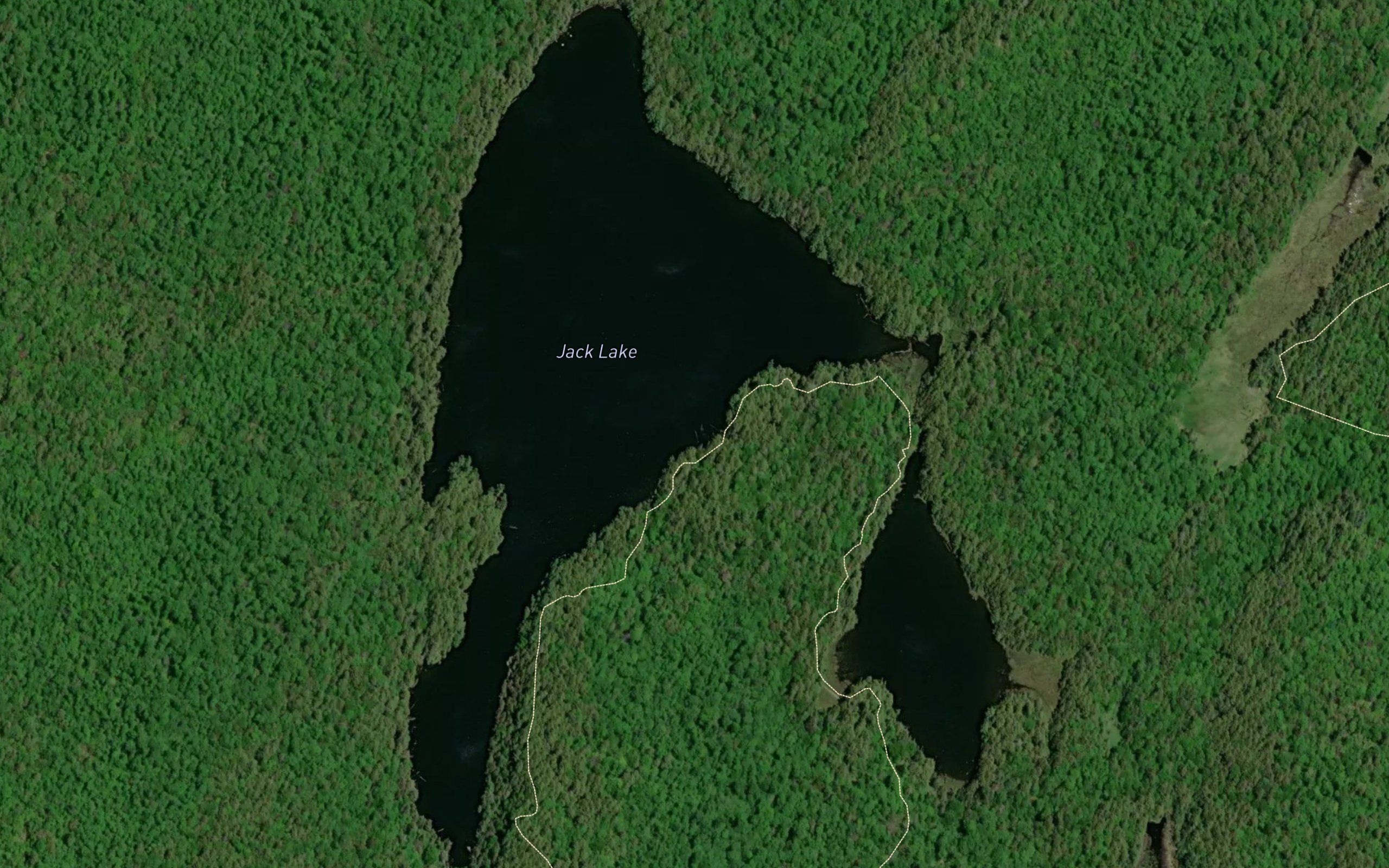 Jack Lake