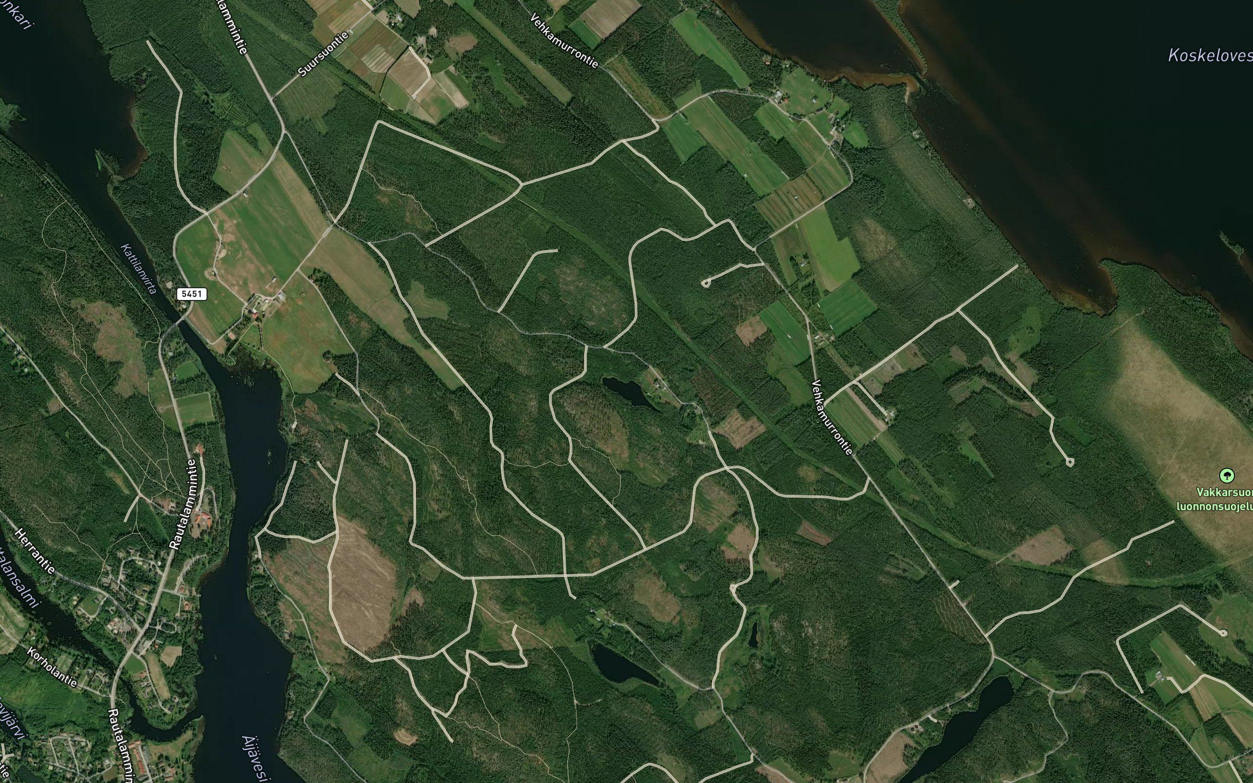 Ruunalampi