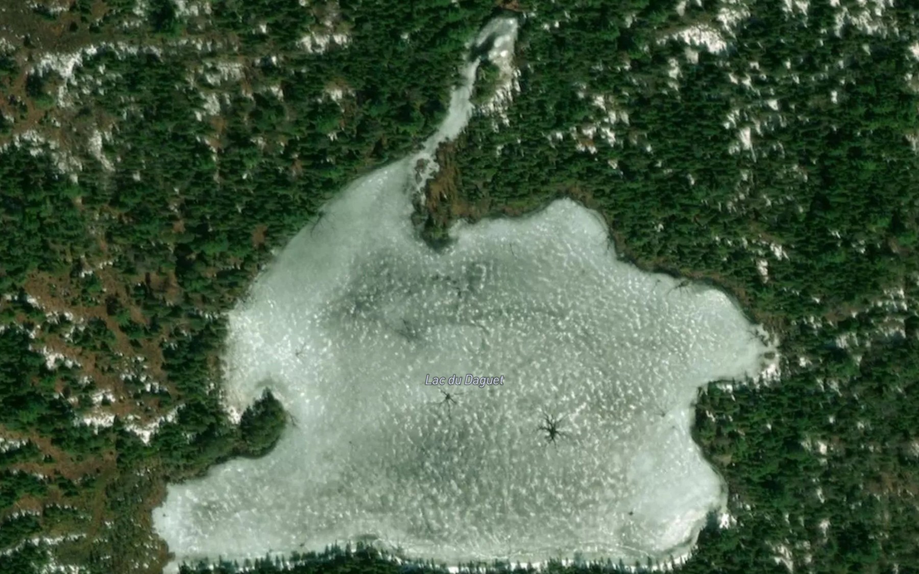Satellite map of the Lac du Daguet