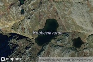 Kobbevikvatna