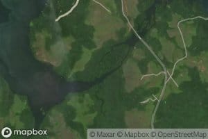 Large Mangrove Swamps