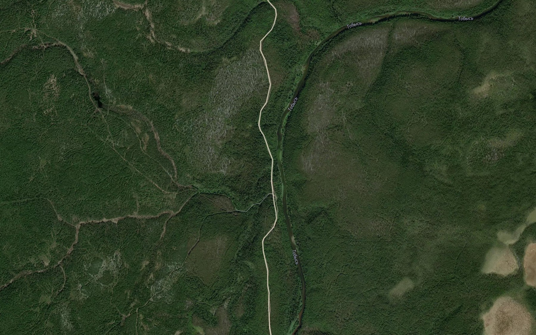Satellite map of the Burdayel'