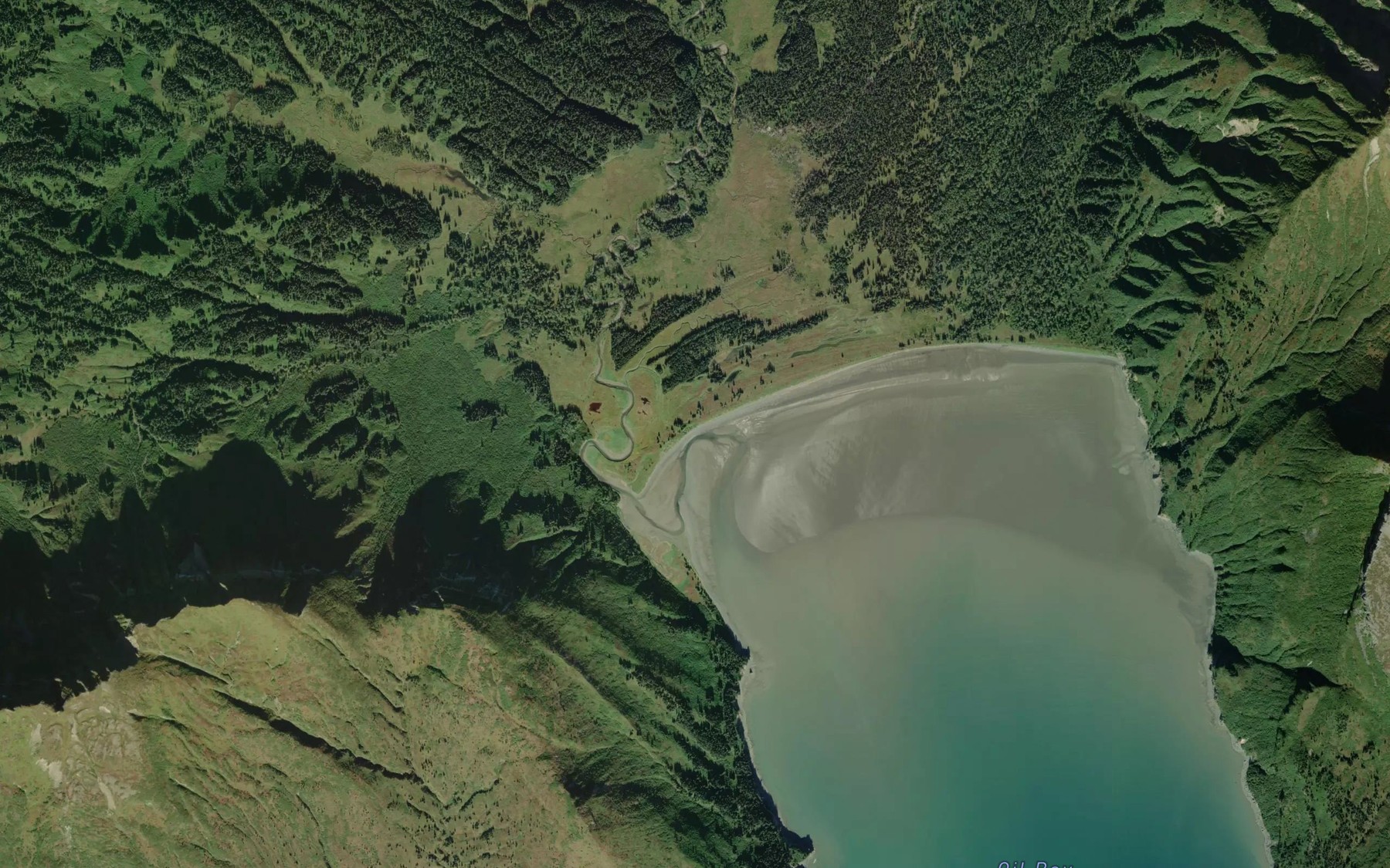 Satellite map of the Bowser Creek