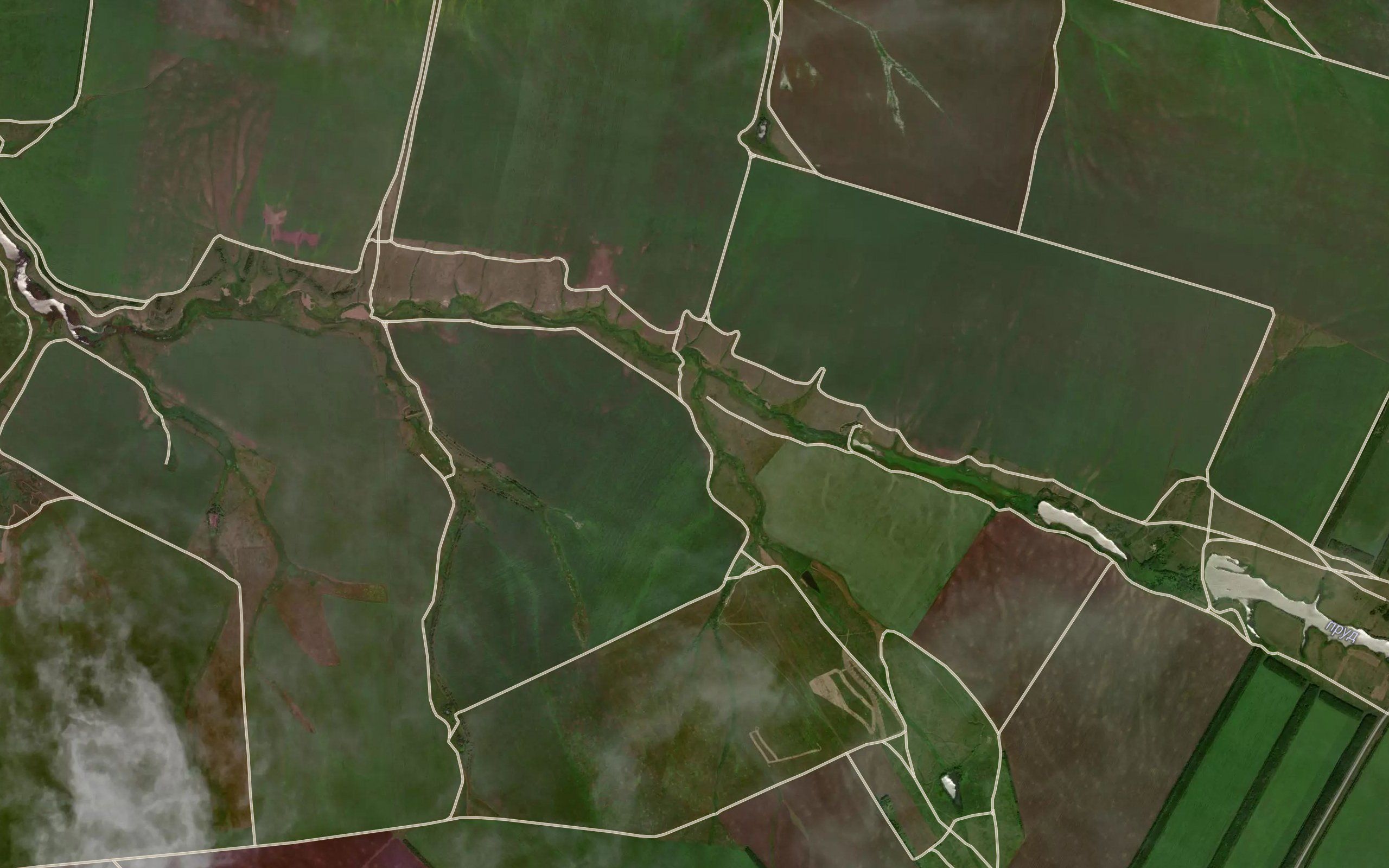 Balka Berezovaya