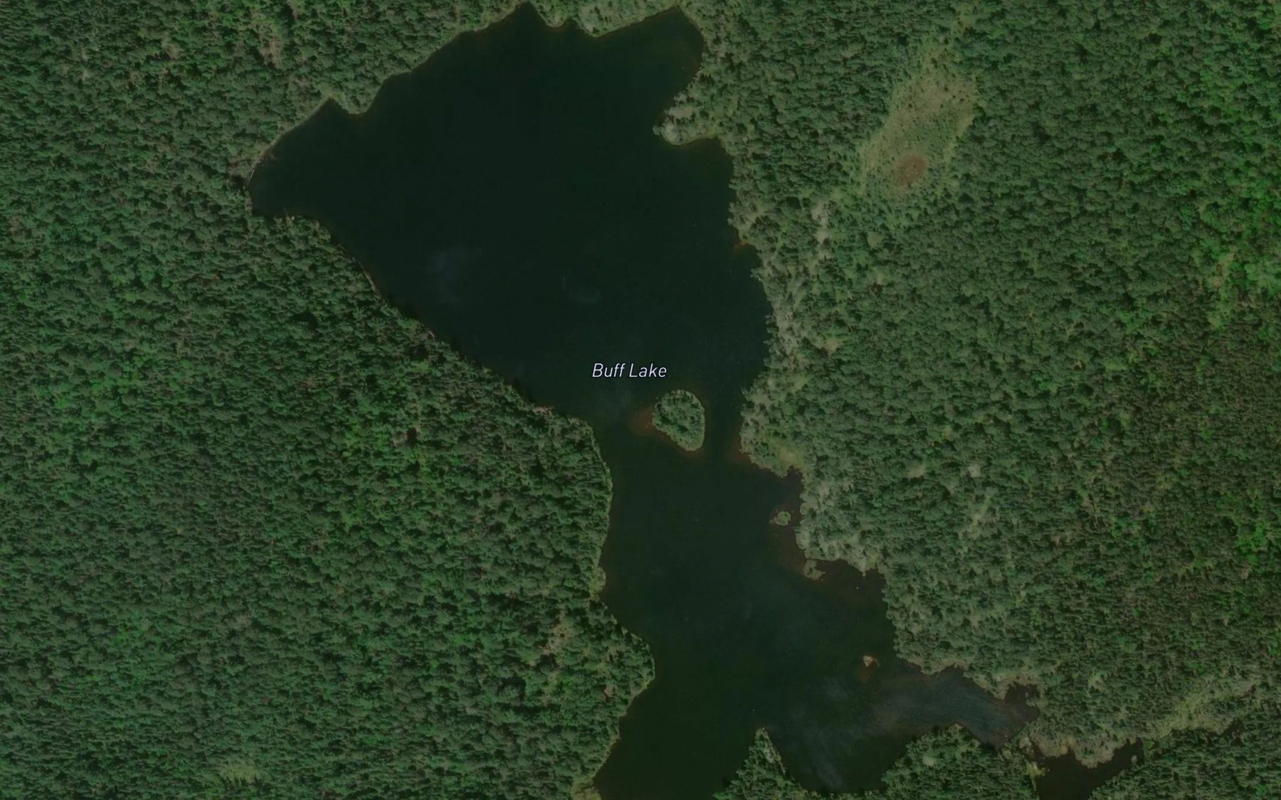 Satellite map of the Buff Lake