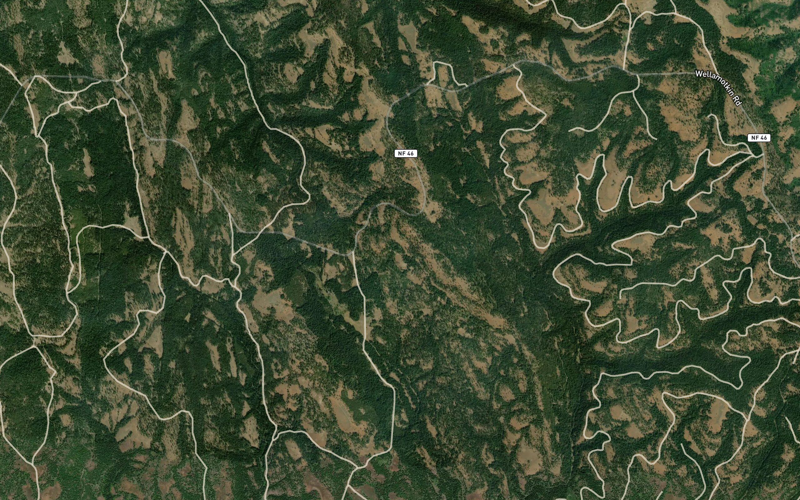 Elk Spring