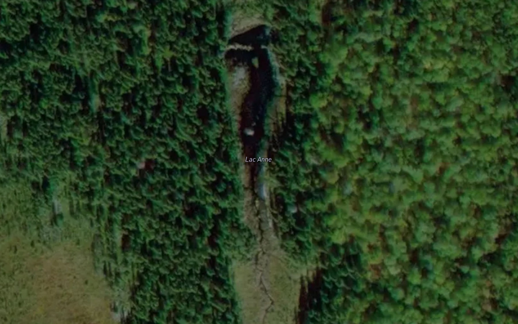 Satellite map of the Lac Anne