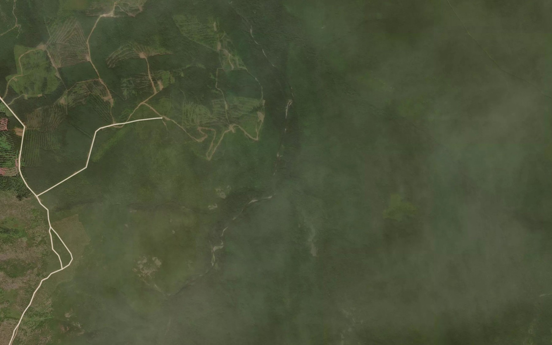 Satellite map of the Gorelyy