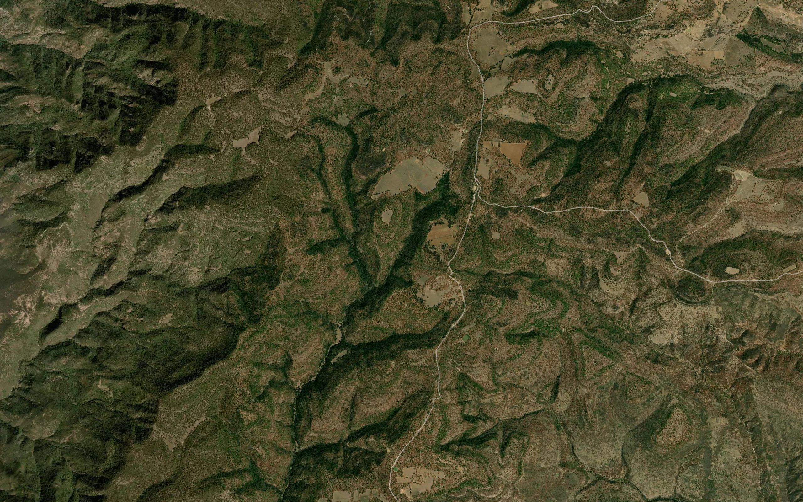 Barranca Pajaritos