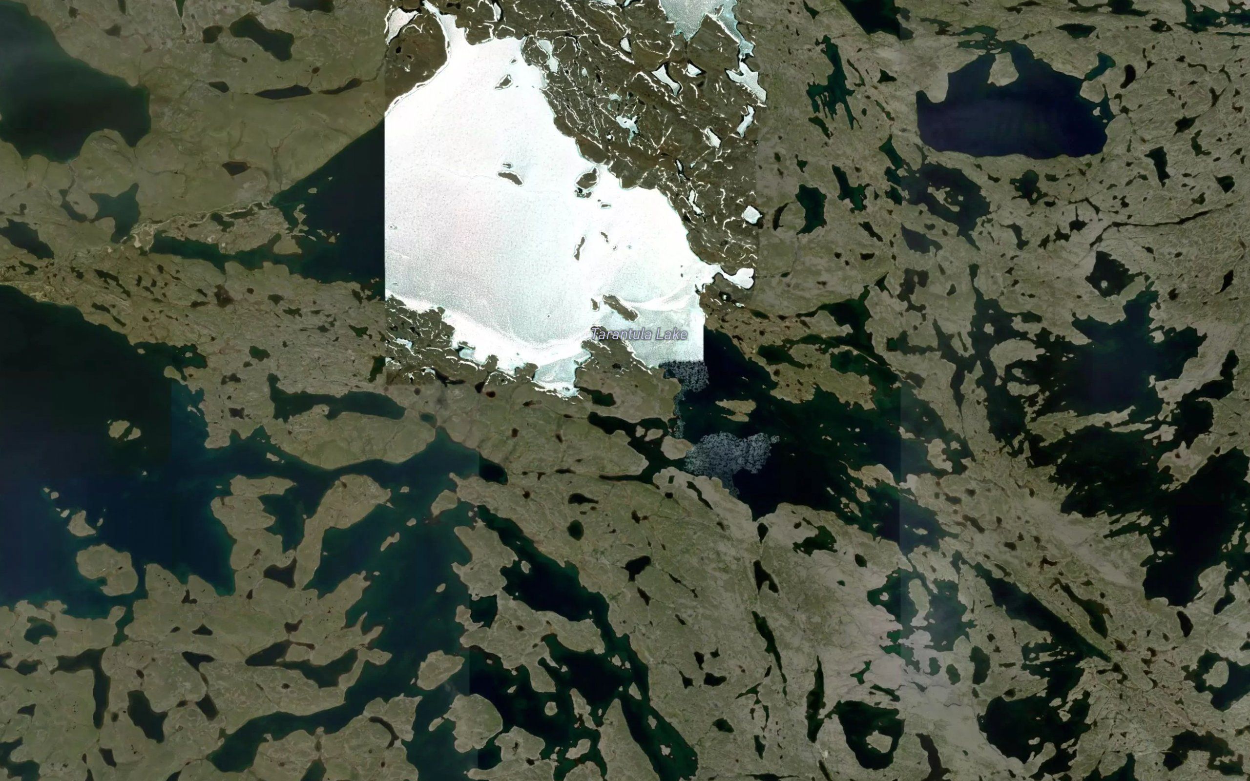 Tarantula Lake