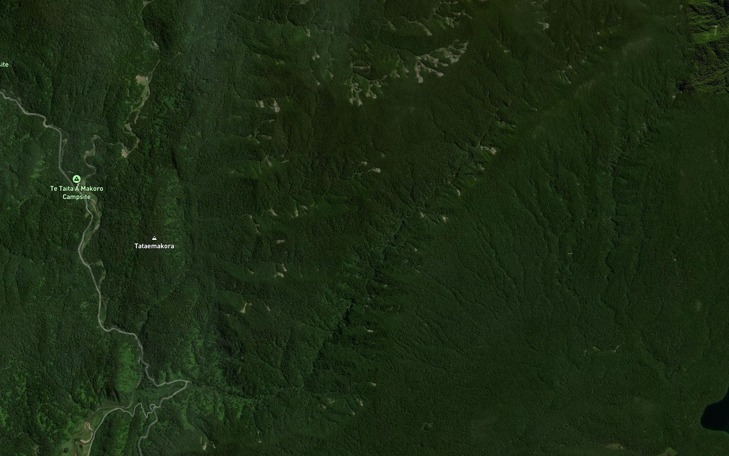 Waiotukupuna Stream
