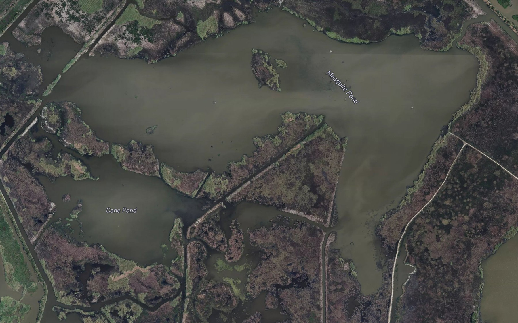 Satellite map of the Mesquite Pond