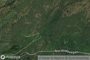 Vagselva