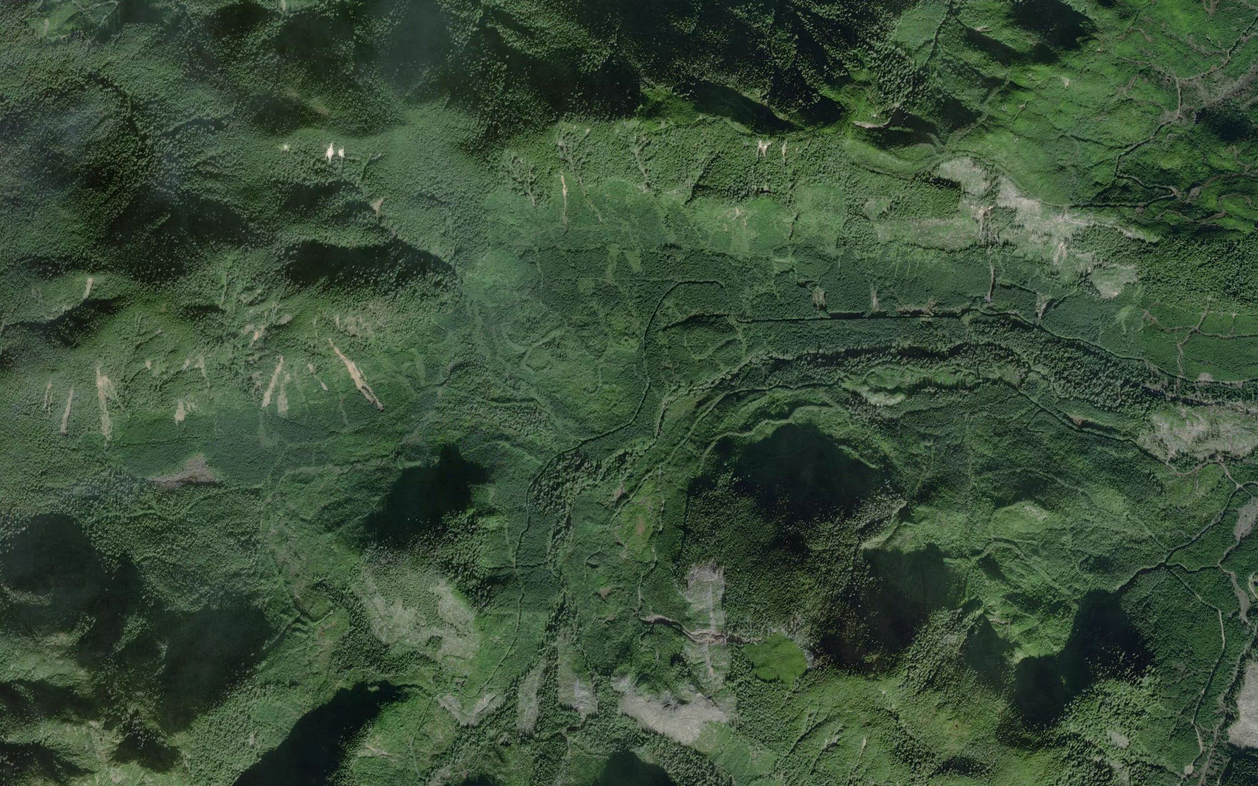Porter Creek