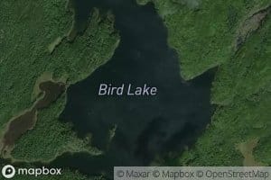 Bird Lake