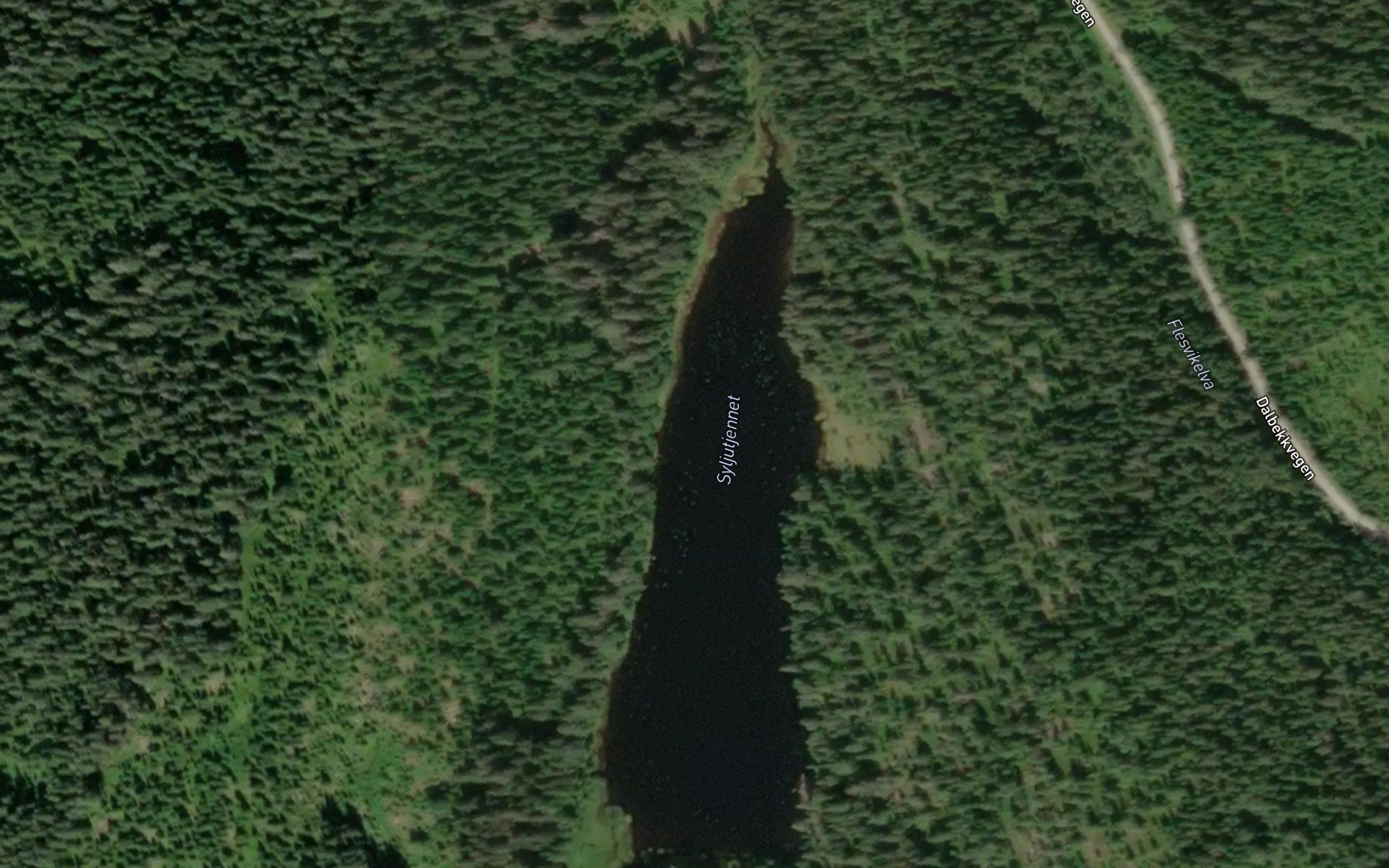 Syljutjernet