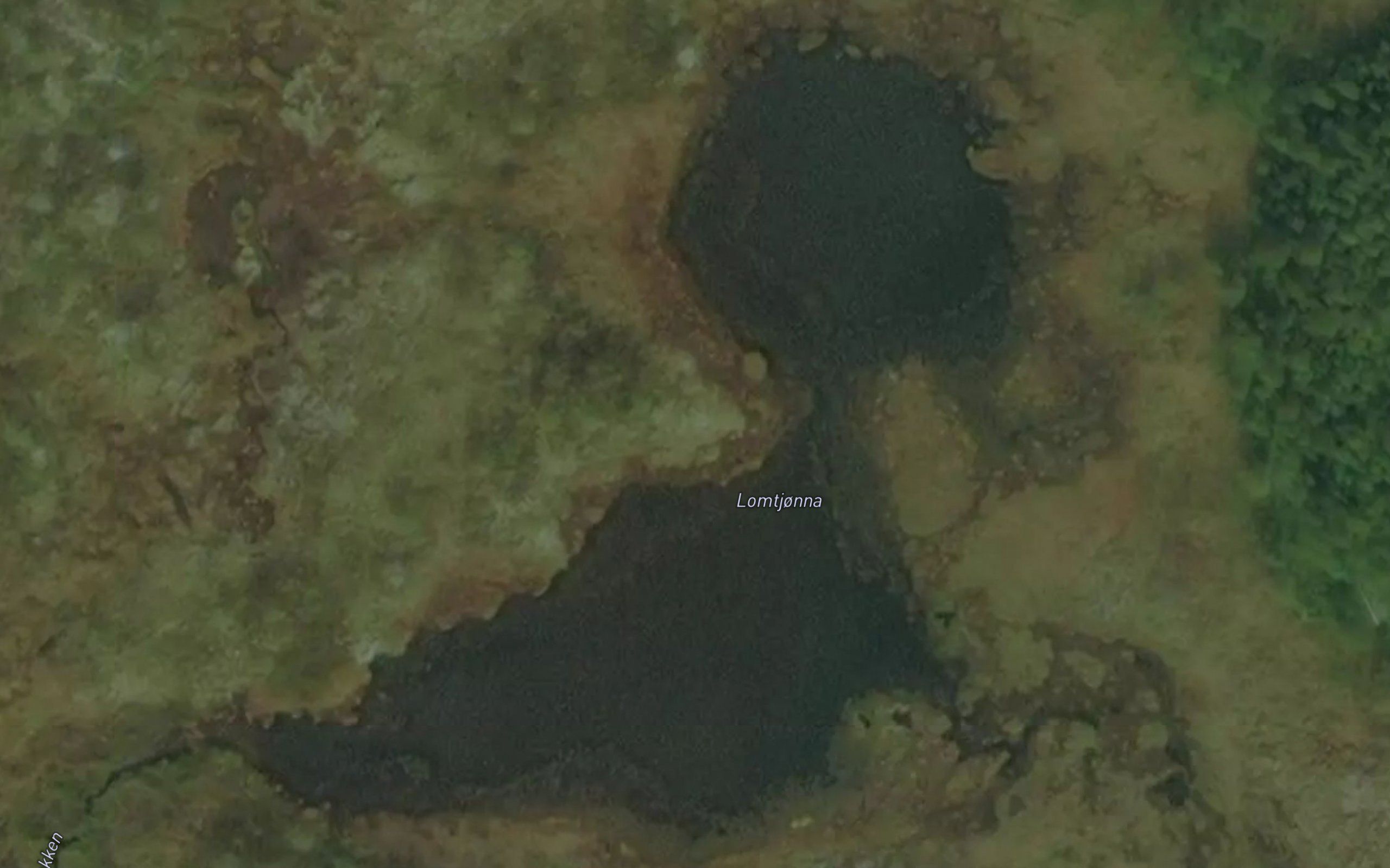 Lomtjorna
