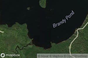 Brandy Pond