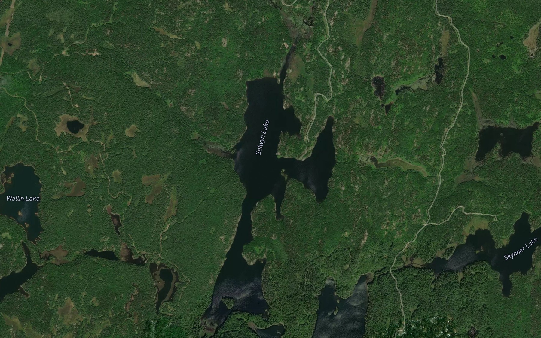 Satellite map of the Selwyn Lake