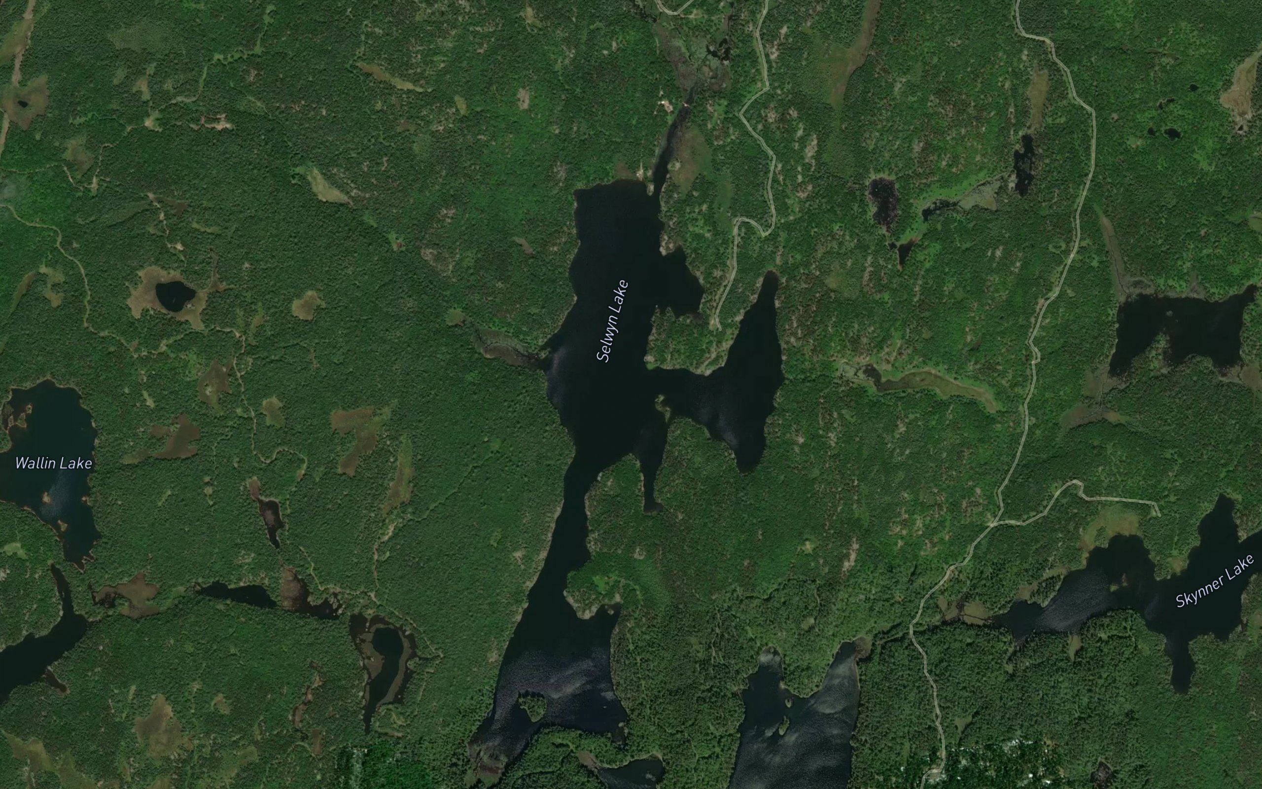 Selwyn Lake
