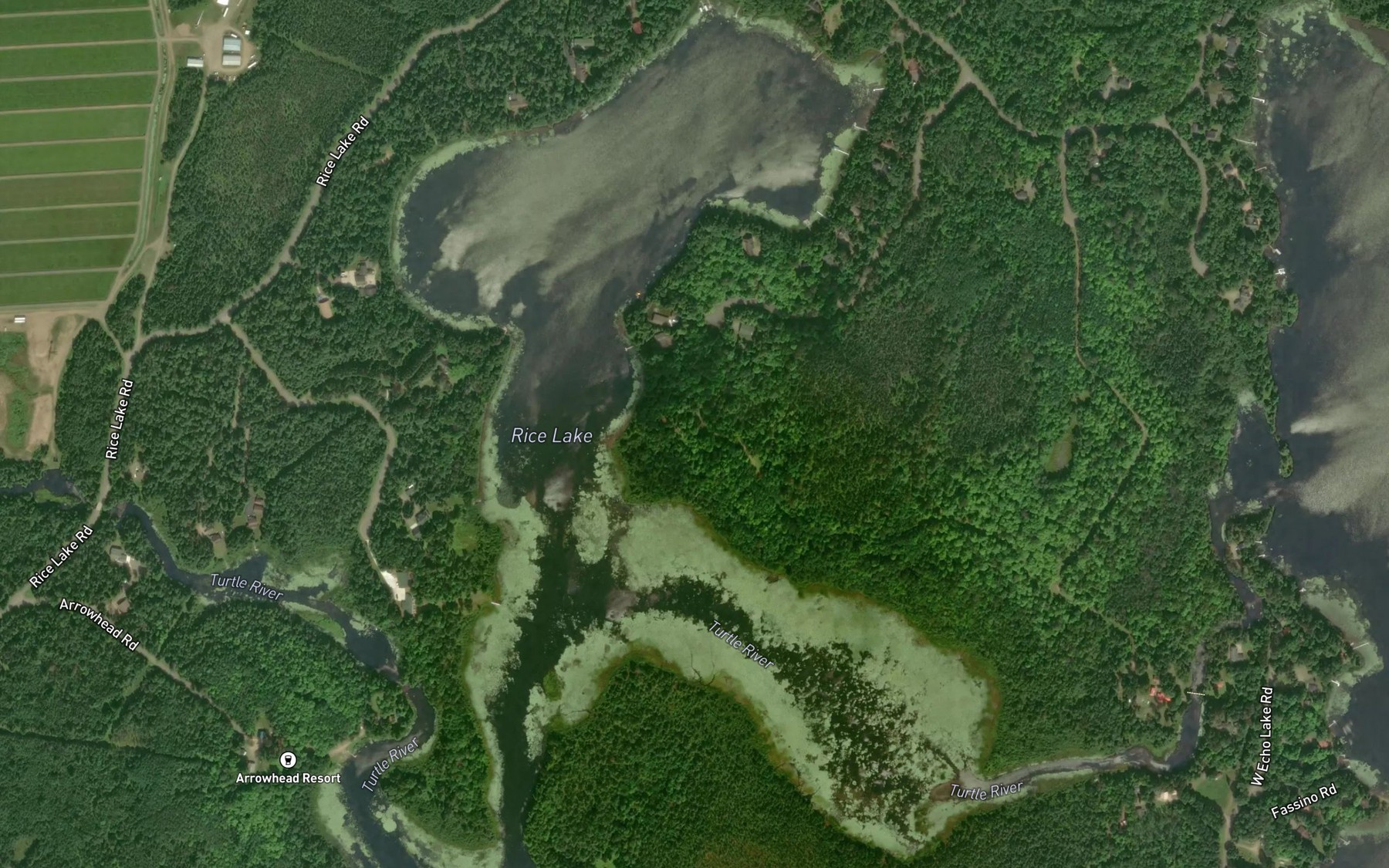 Satellite map of the Rice Lake