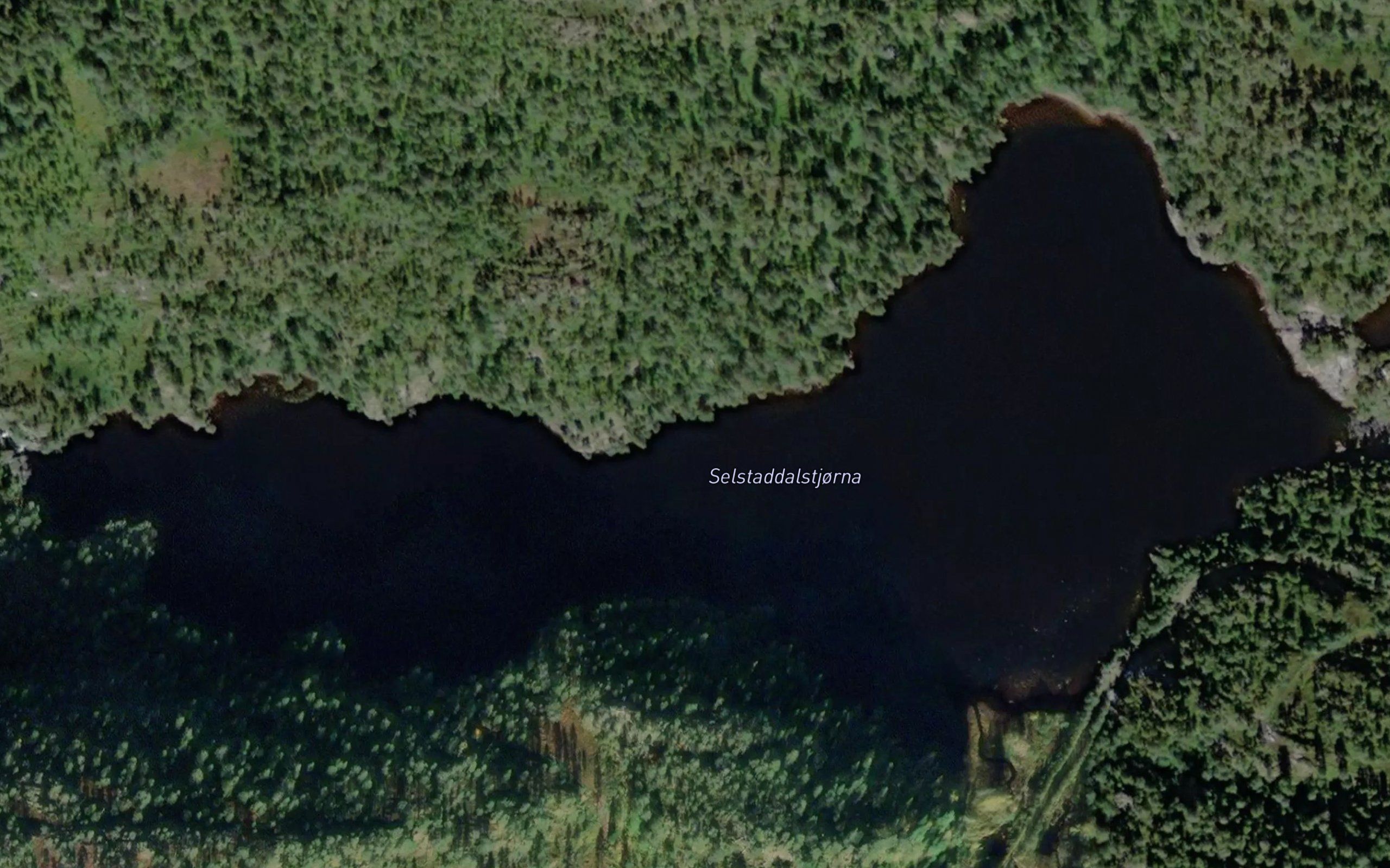 Selstaddalstjorna