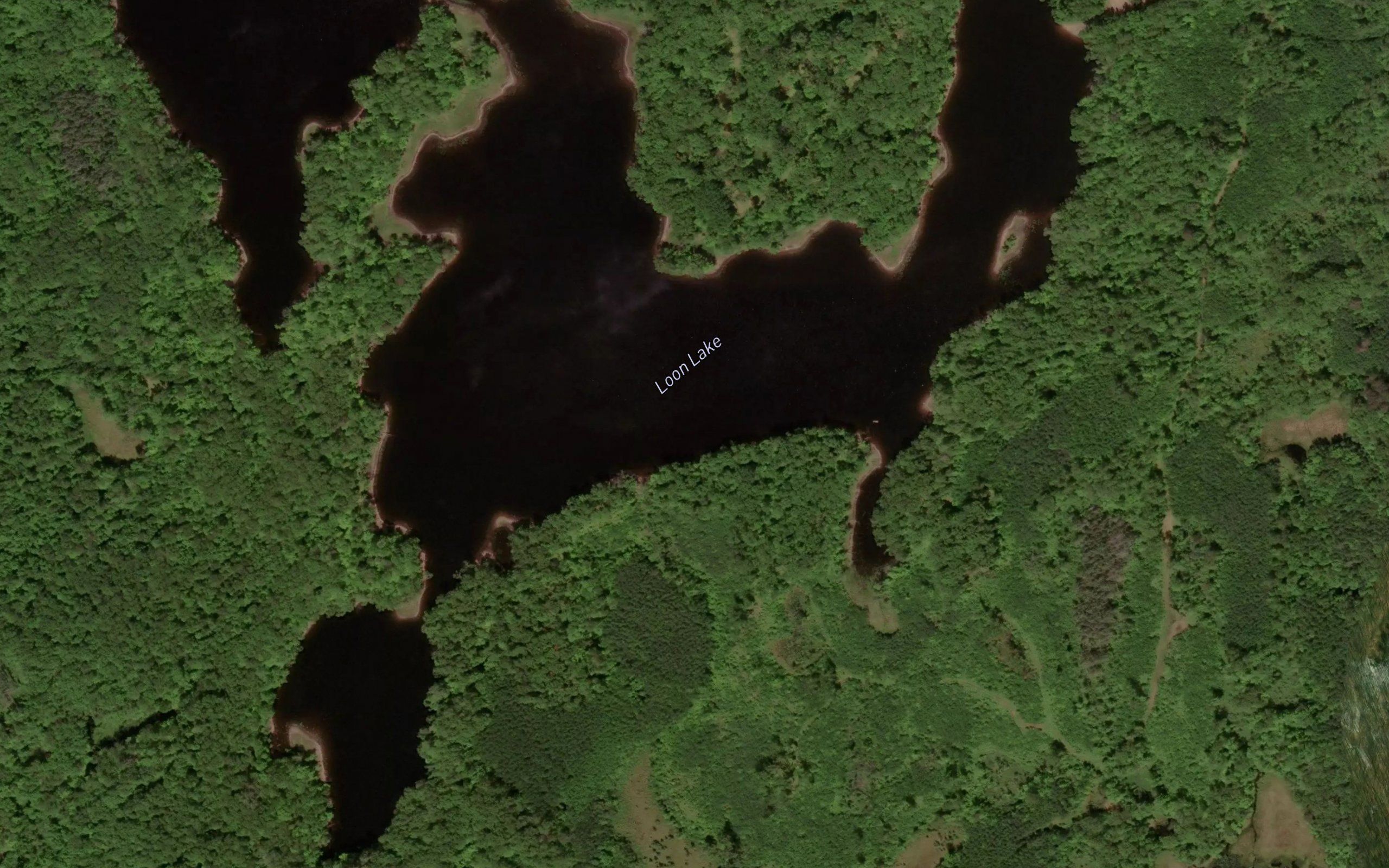 Loon Lake
