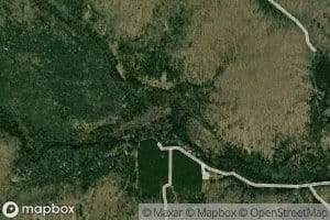 Camp D Creek