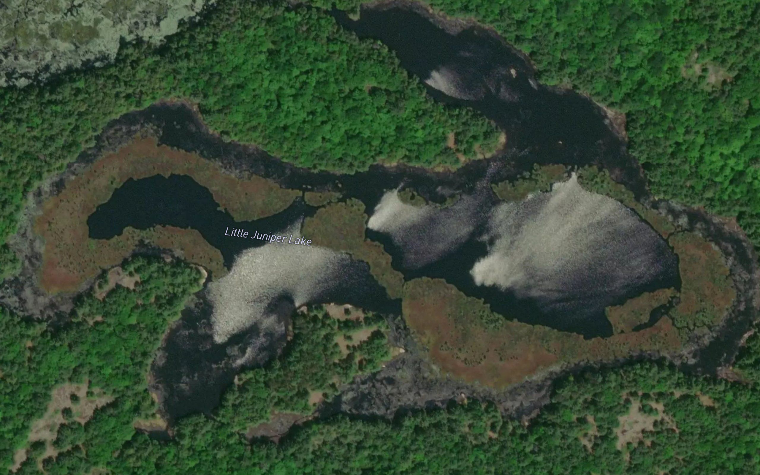 Little Juniper Lake