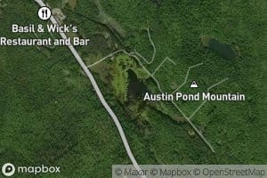 Austin Pond