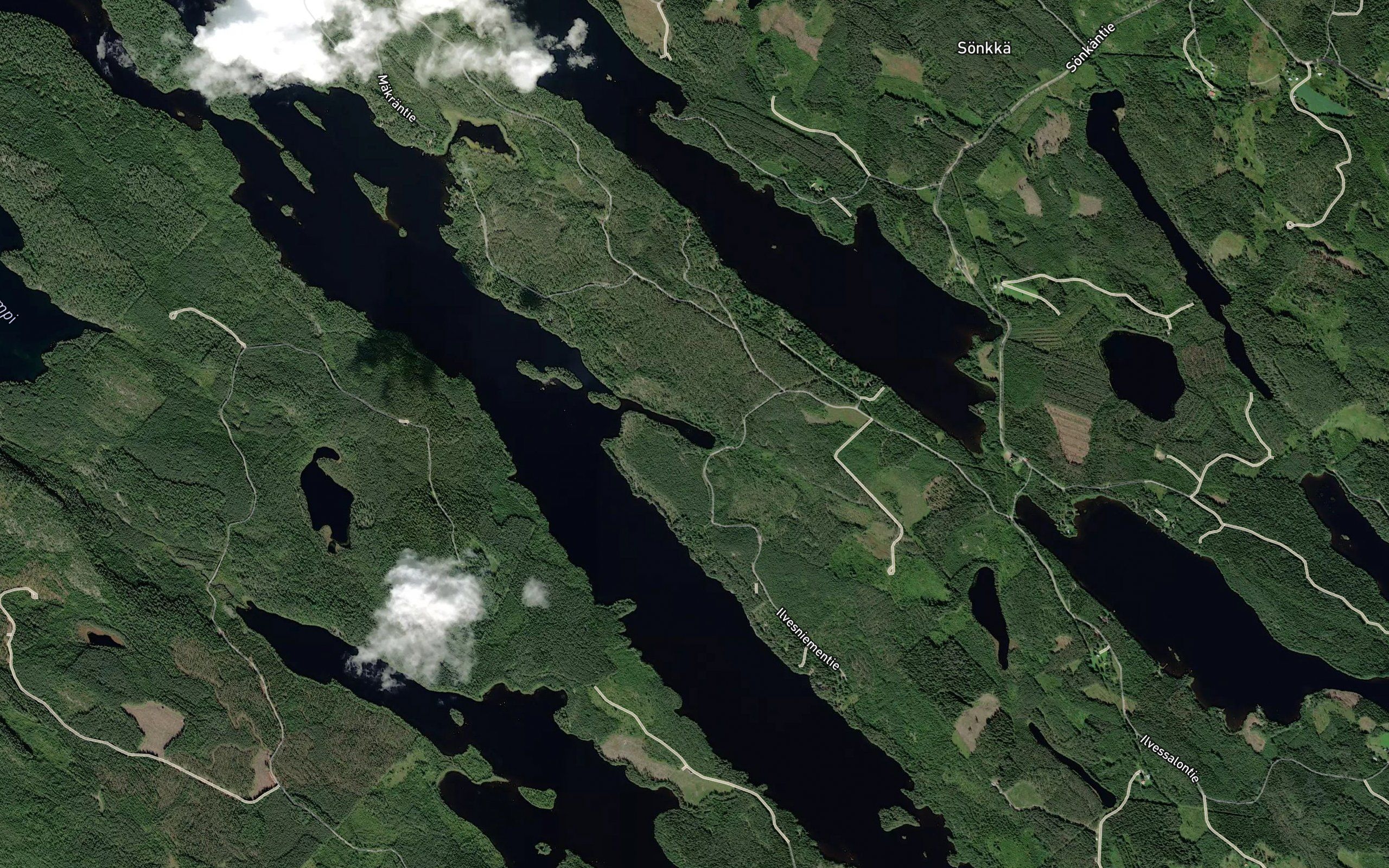 Putukanlahti