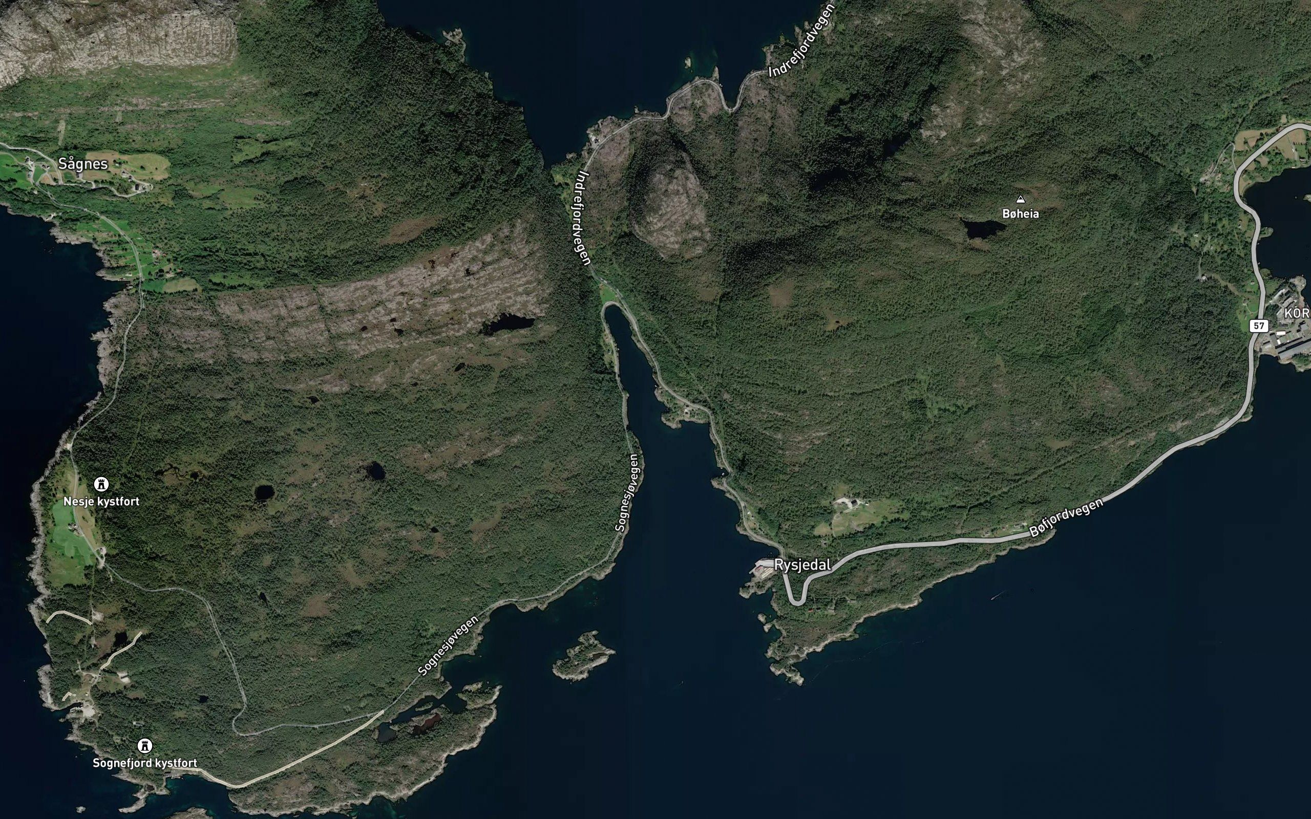 Jaktenaustvika