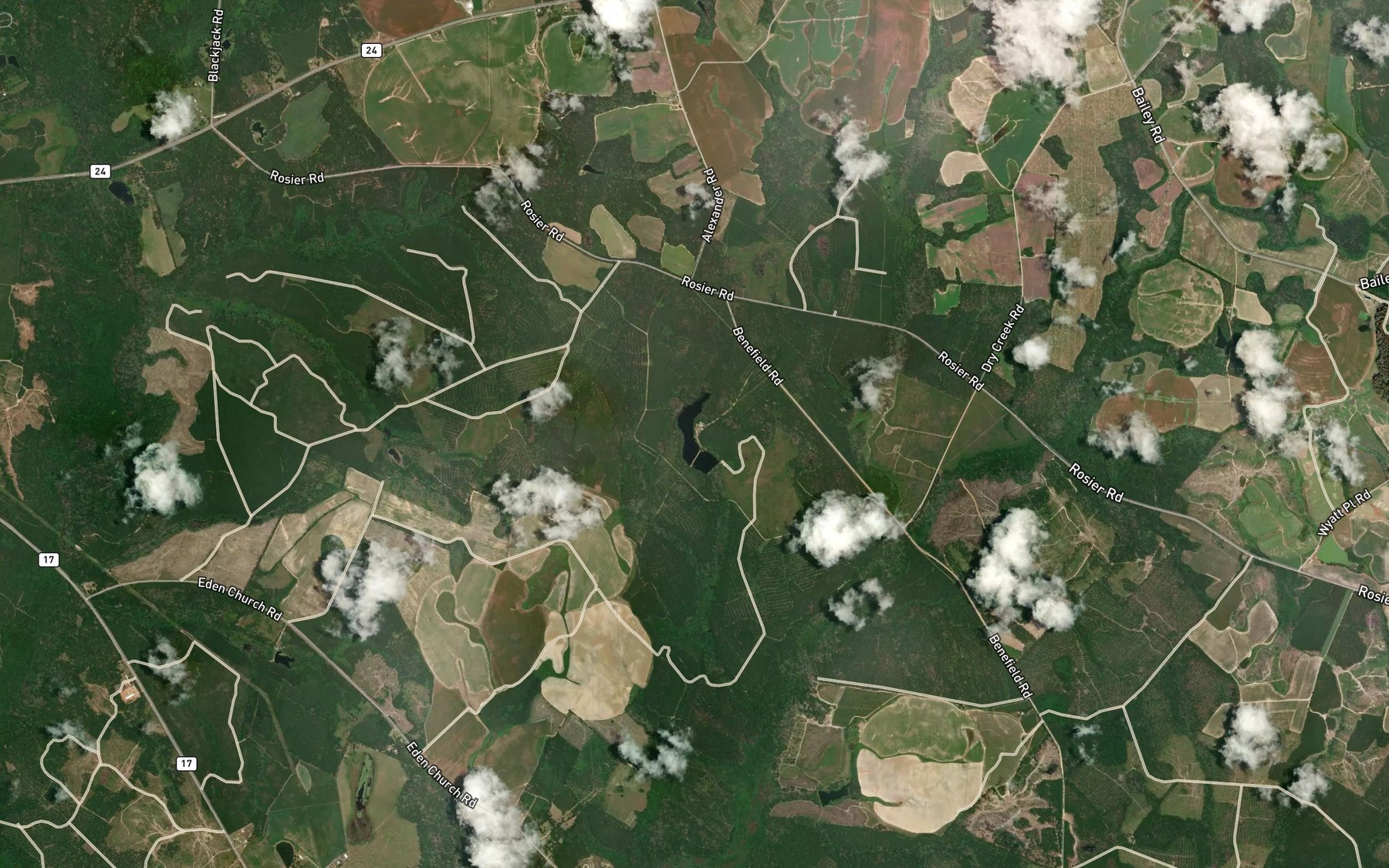 Satellite map of the Union Camp Lake