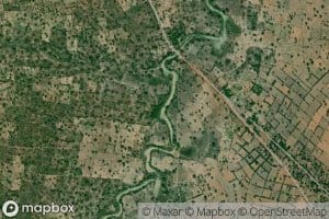 Gamissi Mayo Dolmadji