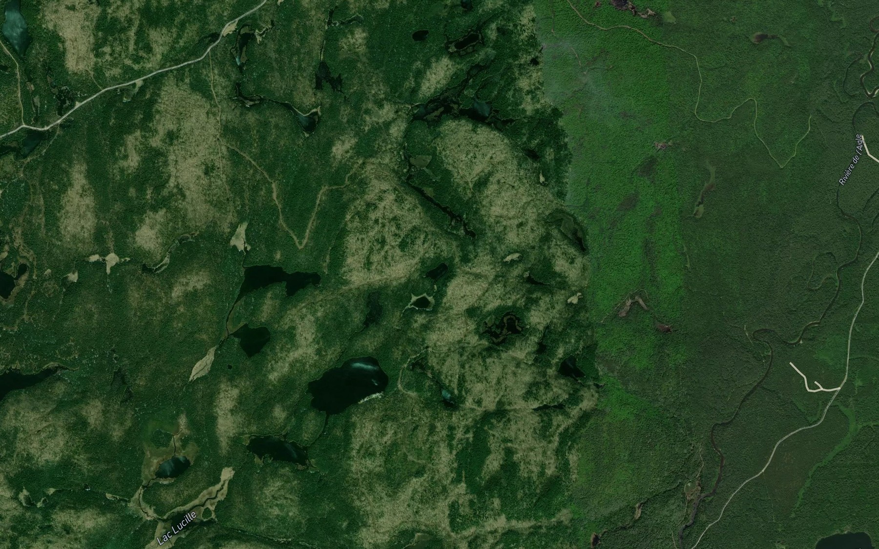 Satellite map of the Lac du Pallium