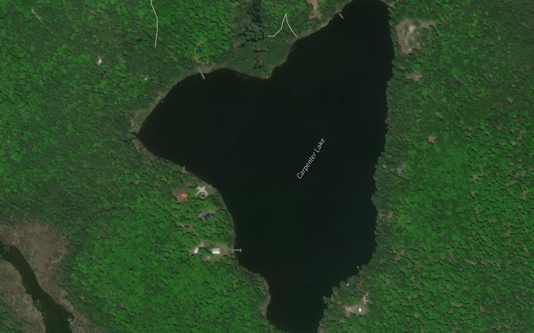 Satellite map of the Carpenter Lake